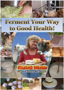 ferment your way to good health book