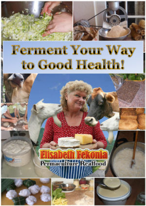 ferment your way to good health book
